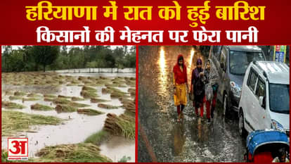 Haryana Weather News:Rain In Many Districts At Night