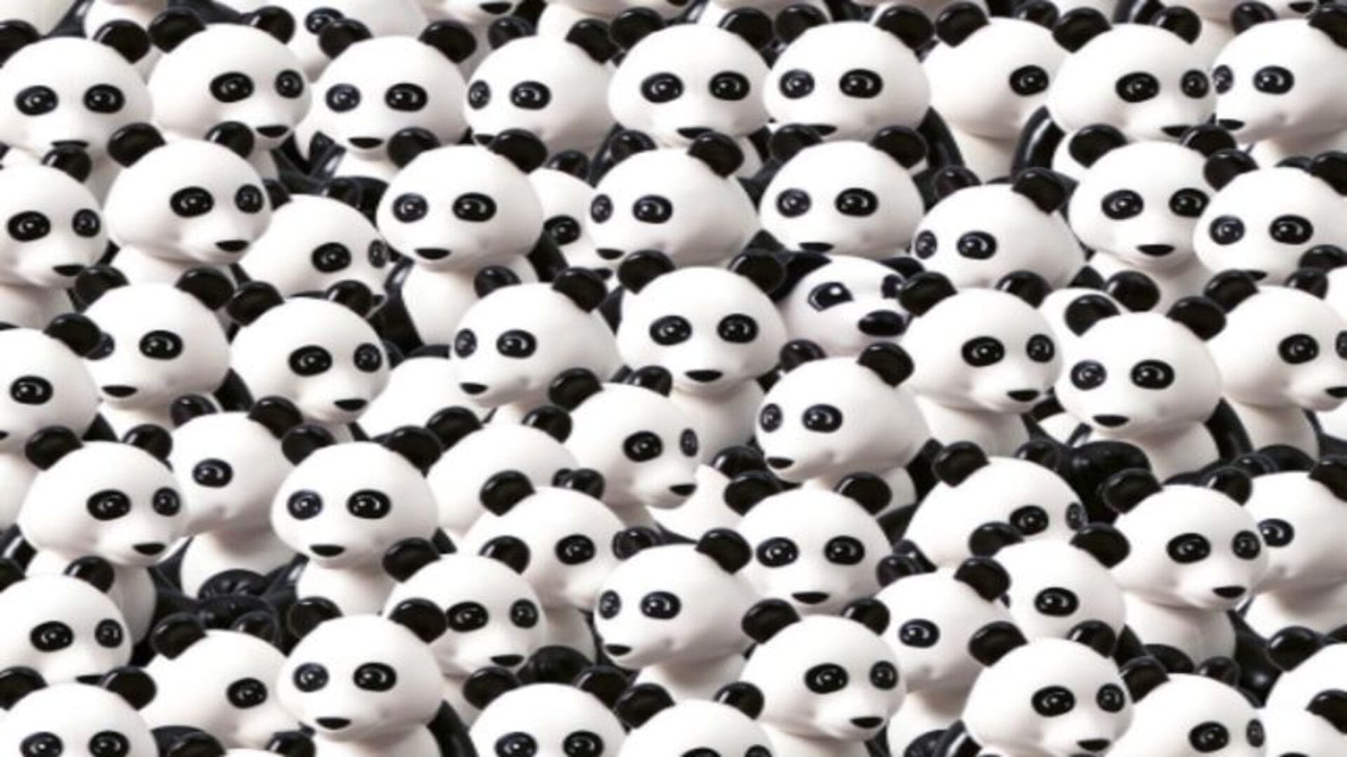Optical Illusion IQ Test: Can you find the Dog hidden among Pandas in 7 Seconds? brain teaser picture puzzle