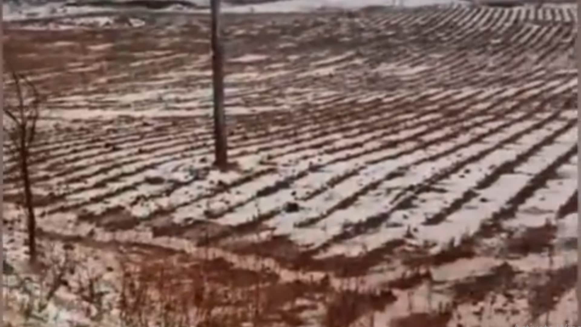 सागर में ओले गिरने से खेतों में बर्फ की चादर बिछ गई।