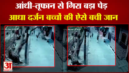 Tree fell due to storm, children playing on the road saved their lives