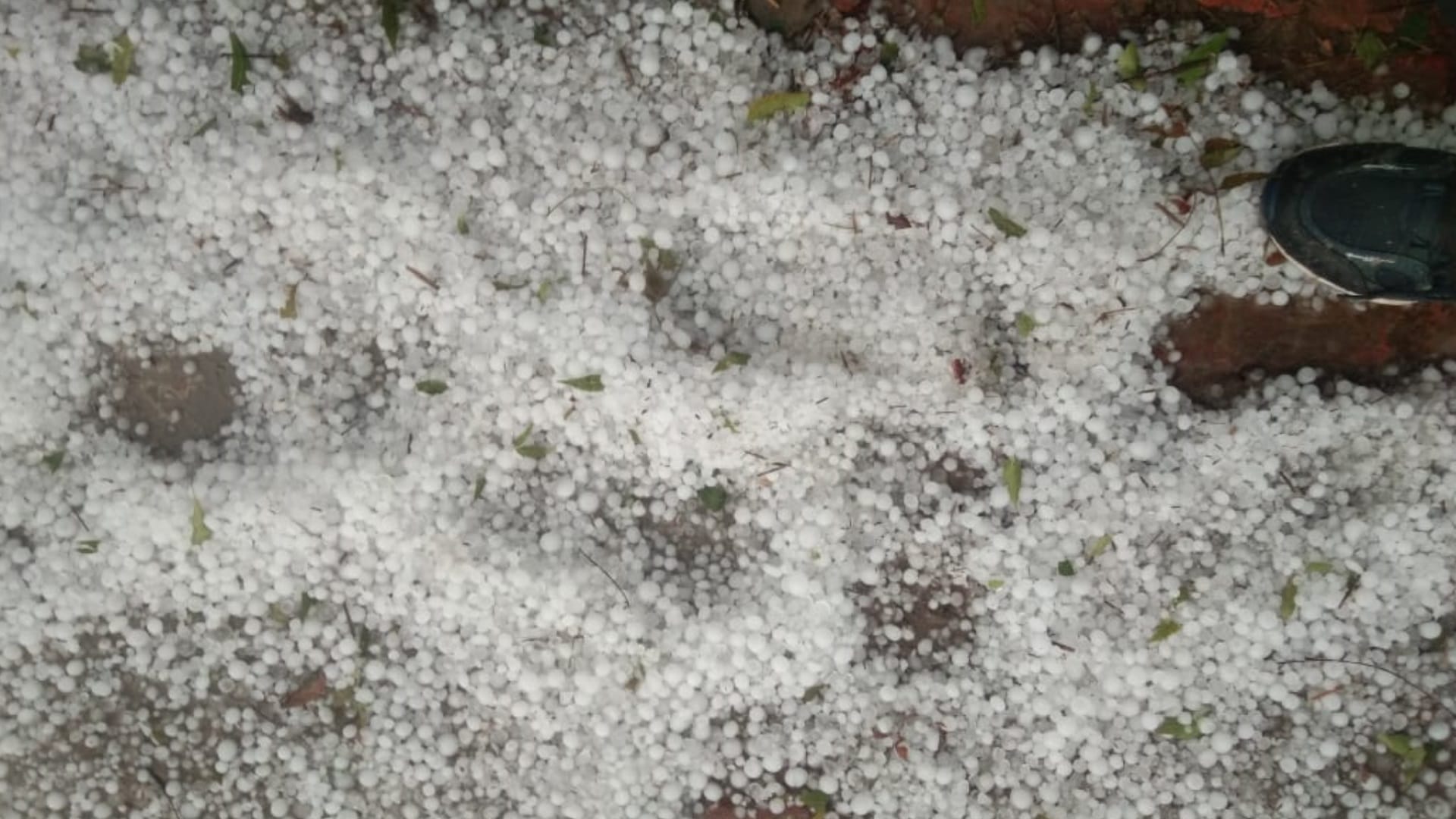 Big changes in weather in many districts in Uttar Pradesh.