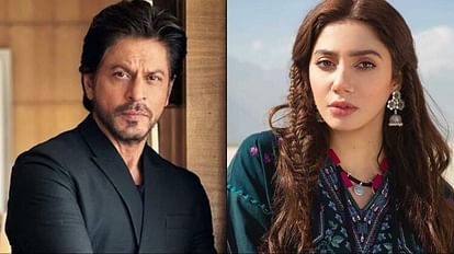 actress mahira khan praising shahrukh khan pathaan in pakistan mp afnan ullah reaction
