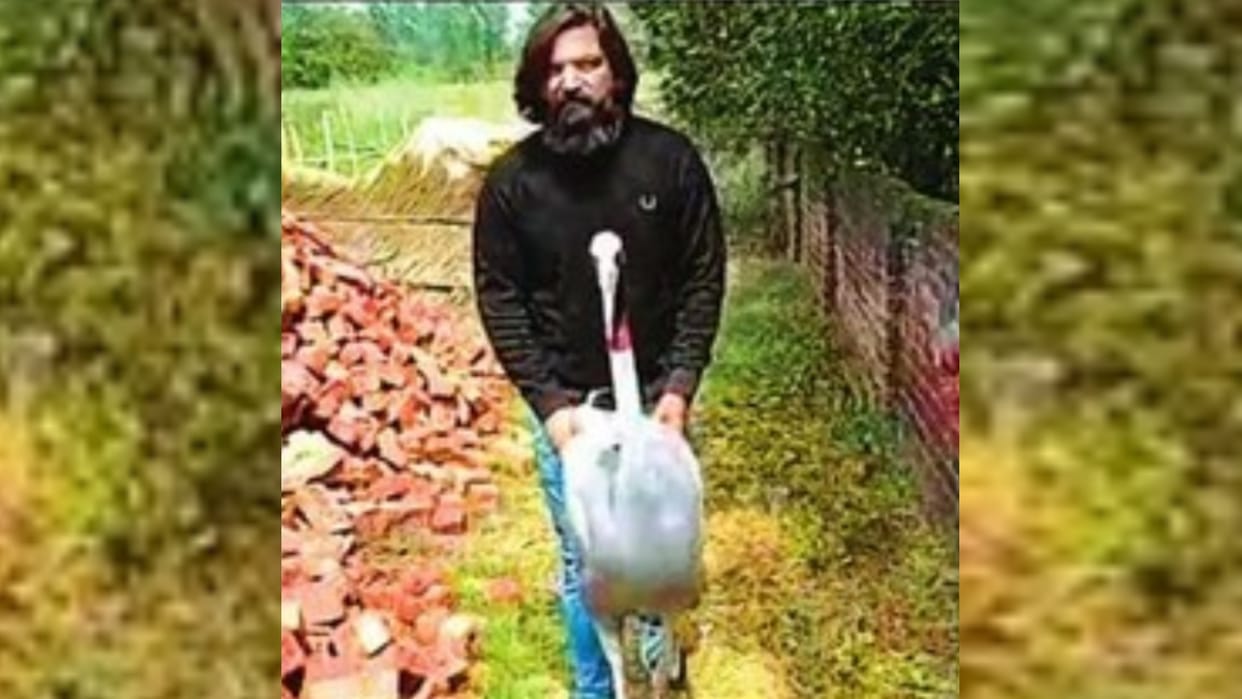 Case filed against Arif for having friendship with cranes.