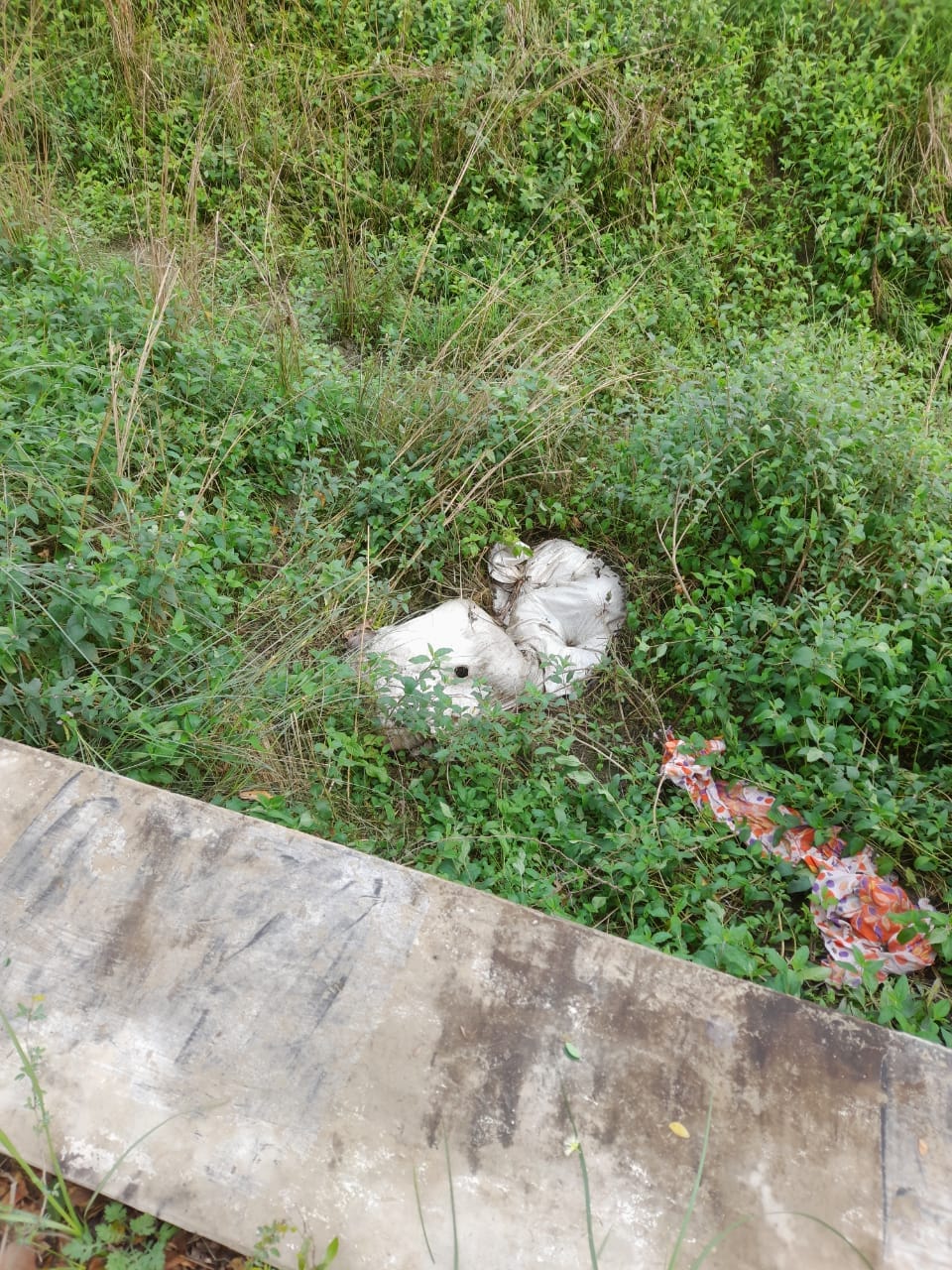 Bihar: Dead body of two history-sheeter criminals involved in property dealing of Vaishali found in Chhapra