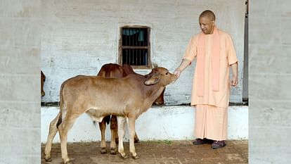 CM Yogi Adityanath in Devipatan Shaktipeeth in Balrampur.