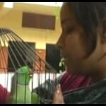 पालतू तोता, जिसकी वजह से  पकड़ा गया था कातिल
