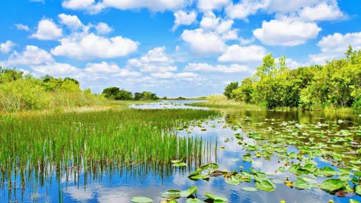 Draft notification issued for 44 wetlands in Rajasthan on World Water Day