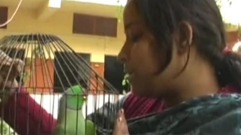 Parrot had caught the murderer nephew got life imprisonment after nine years in agra up
