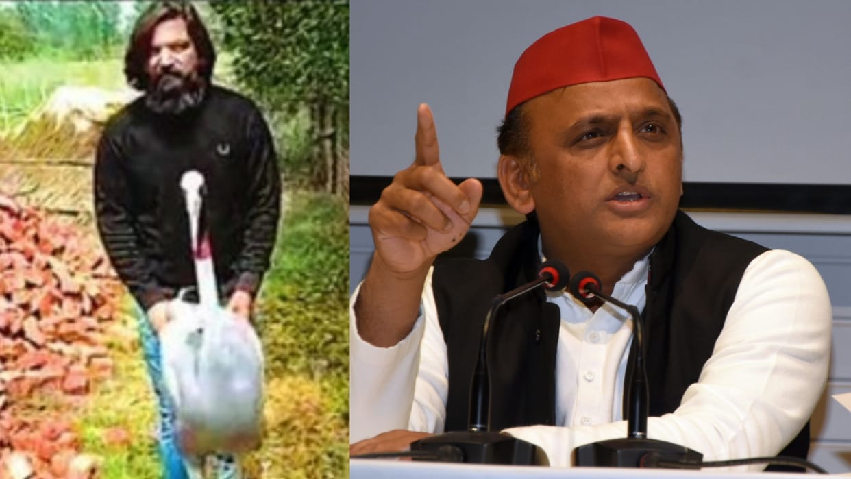 Akhilesh Yadav tweets on missing of bird cranes.