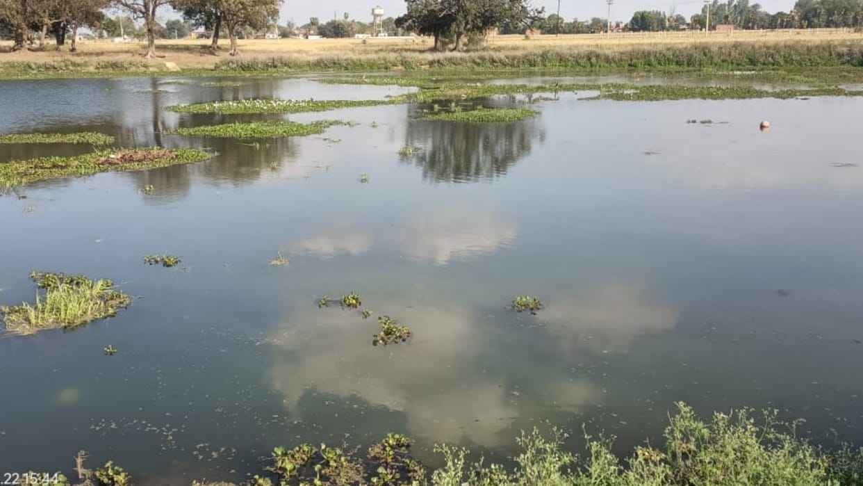 take a selfie on banks of dry dirty Amrit Sarovar