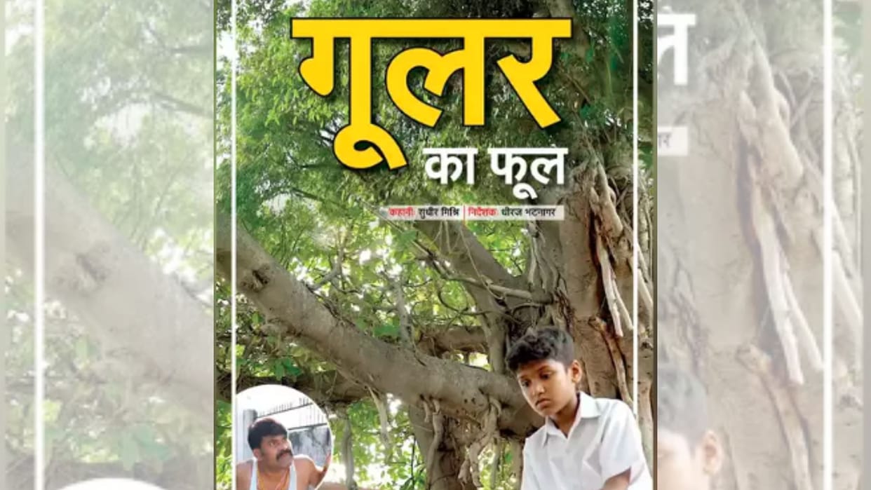 short film gular ka phool final nomination for arff barcelona film festival