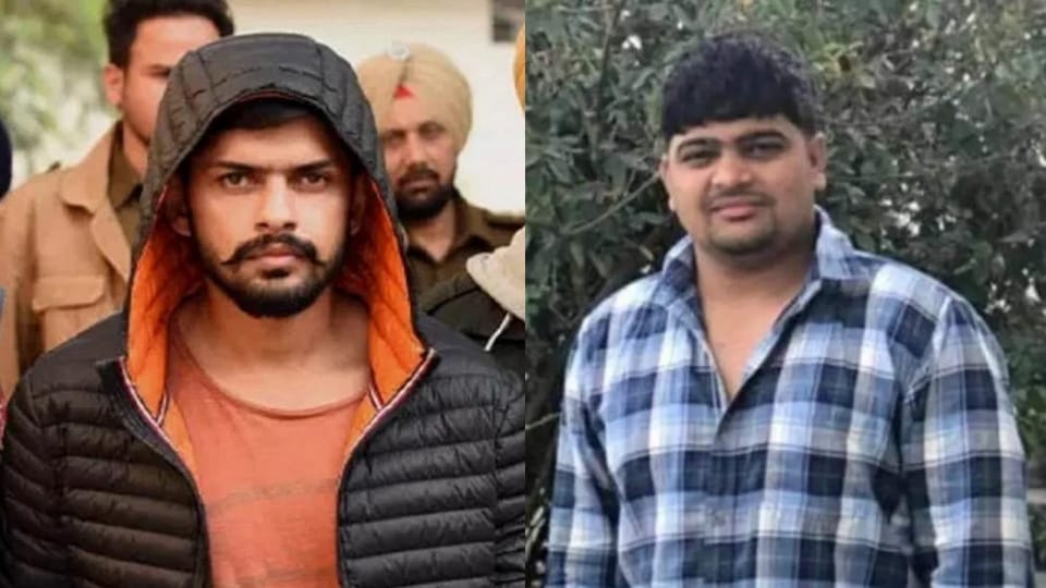 Three lakh prize wanted gangster boxer fled abroad, Lawrence and Goldy Brar helped