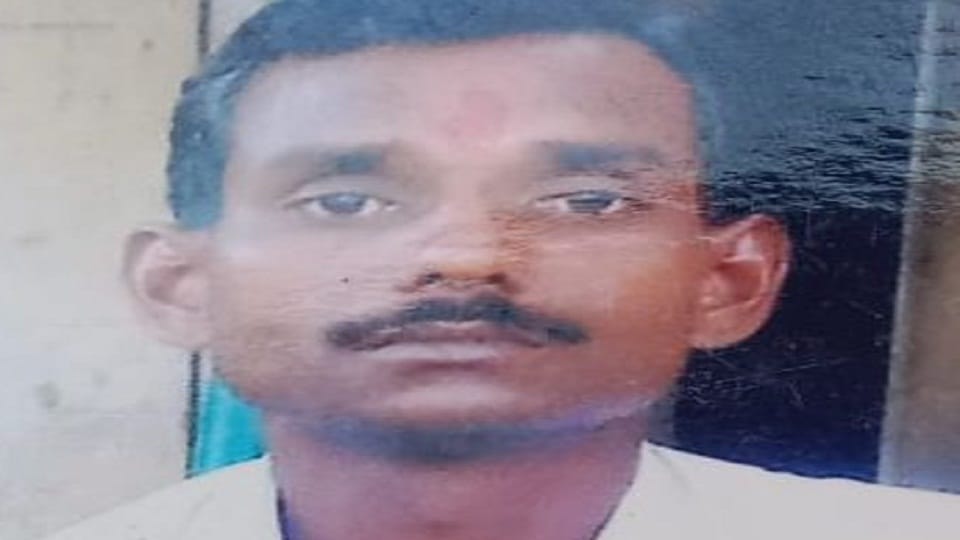 Bike riding youth returning from the shop died in a road accident, a speeding car ran over