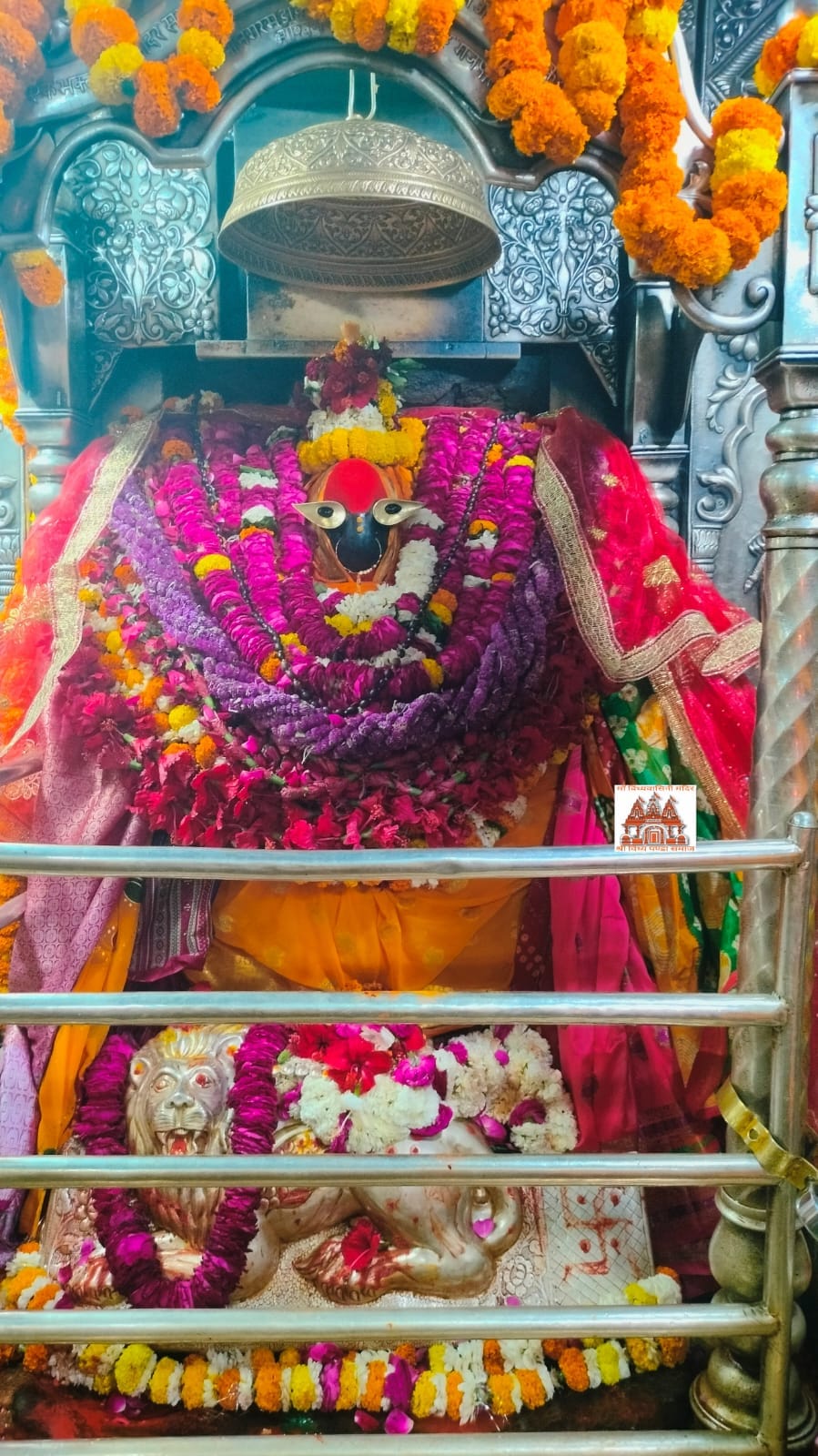 Devotees thronged to see Brahmacharini, the second mother of Navratri, Mother Vindhyavasini gave divine darsh