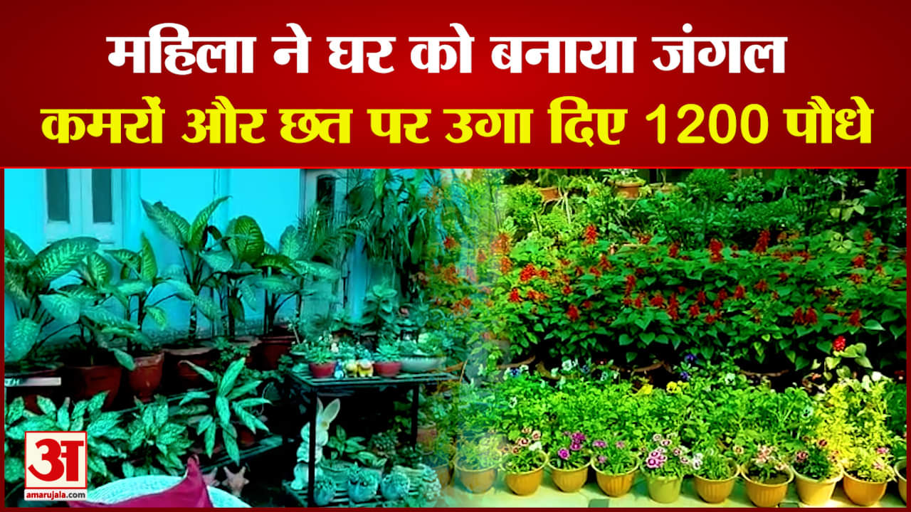 महिला ने कमरों और छत पर उगा दिए 1200 पौधे