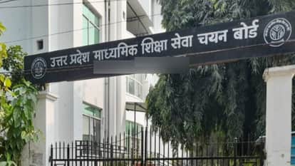 फाइल फोटो।