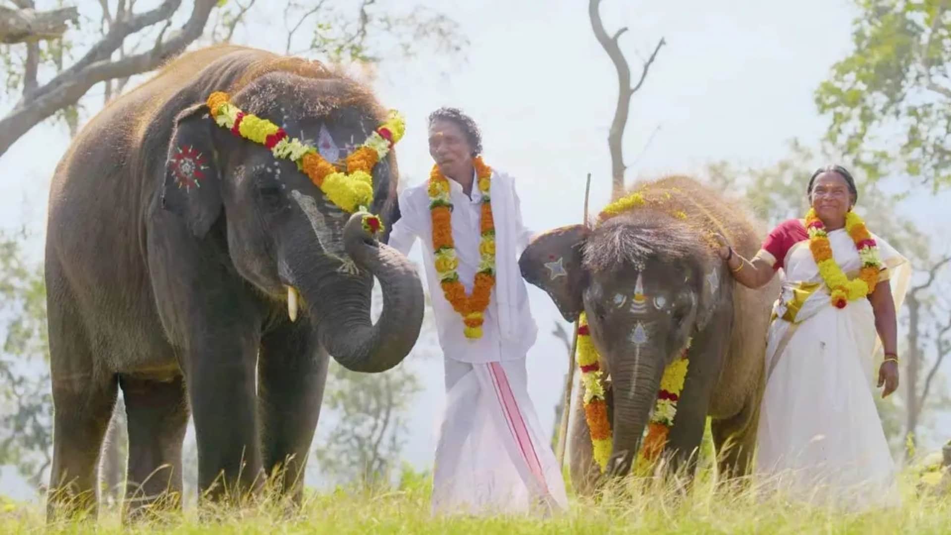The Elephant Whisperers director kartiki gonsalves Shared Photo of Bomman And Bellie Smiling with Oscar Award