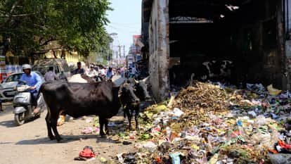 Navratri and Ramadan still peopletroubled by dirt in Gorakhpur