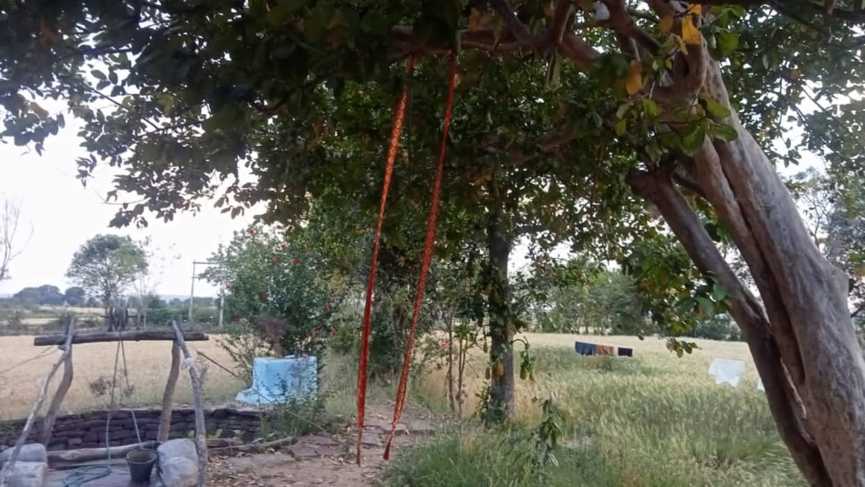 Damoh News: Minor died due to rope getting stuck in the neck while swinging,