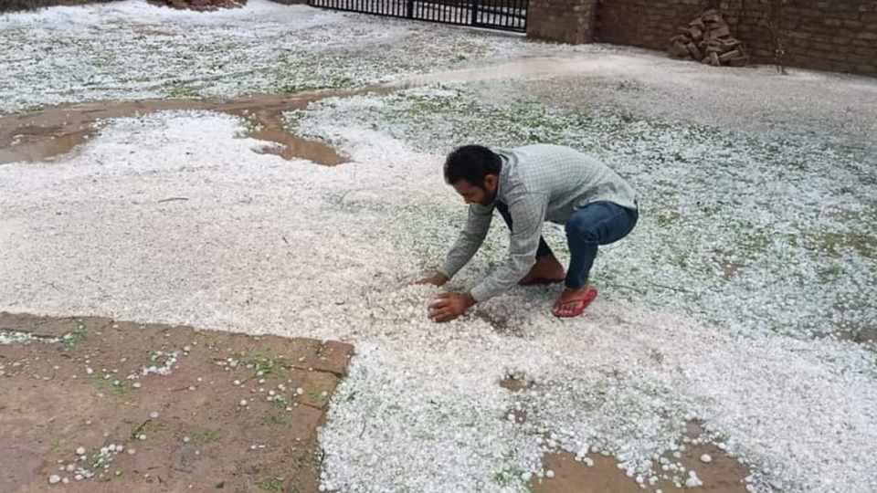 Heavy damage to crops due to rain and hailstorm in Punjab