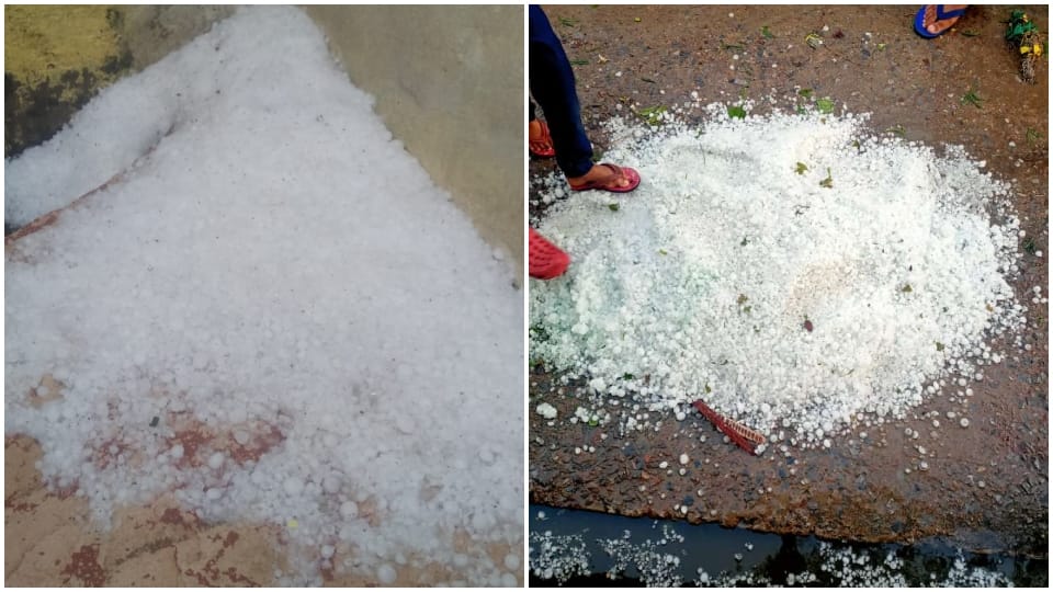 Rajasthan Weather Update Hail fell in Alwar and Bharatpur rain in Jhunjhunu rain alert in 10 districts