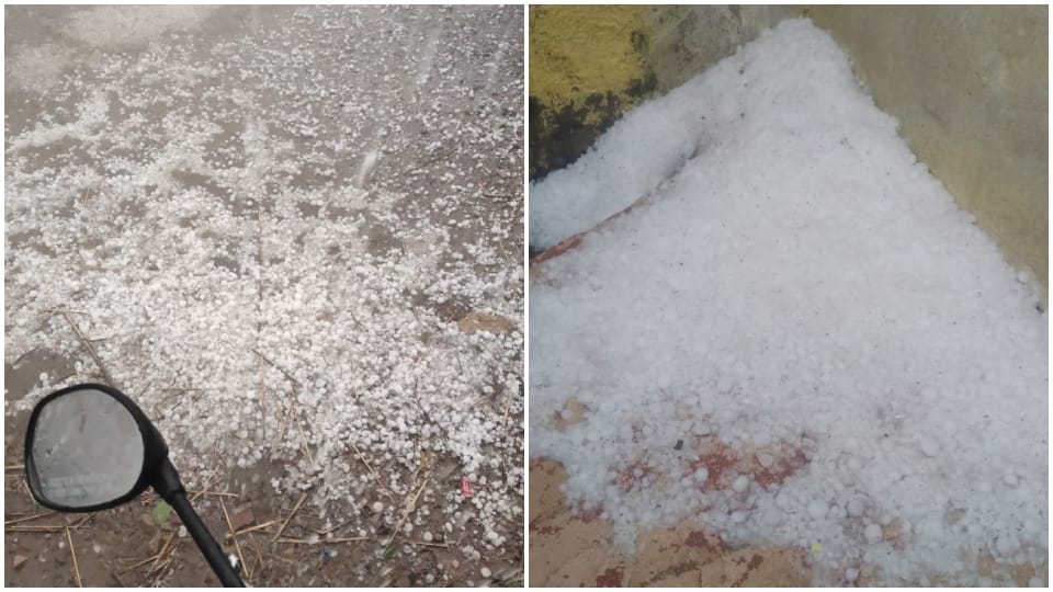 Rajasthan Weather Update Hail fell in Alwar and Bharatpur rain in Jhunjhunu rain alert in 10 districts