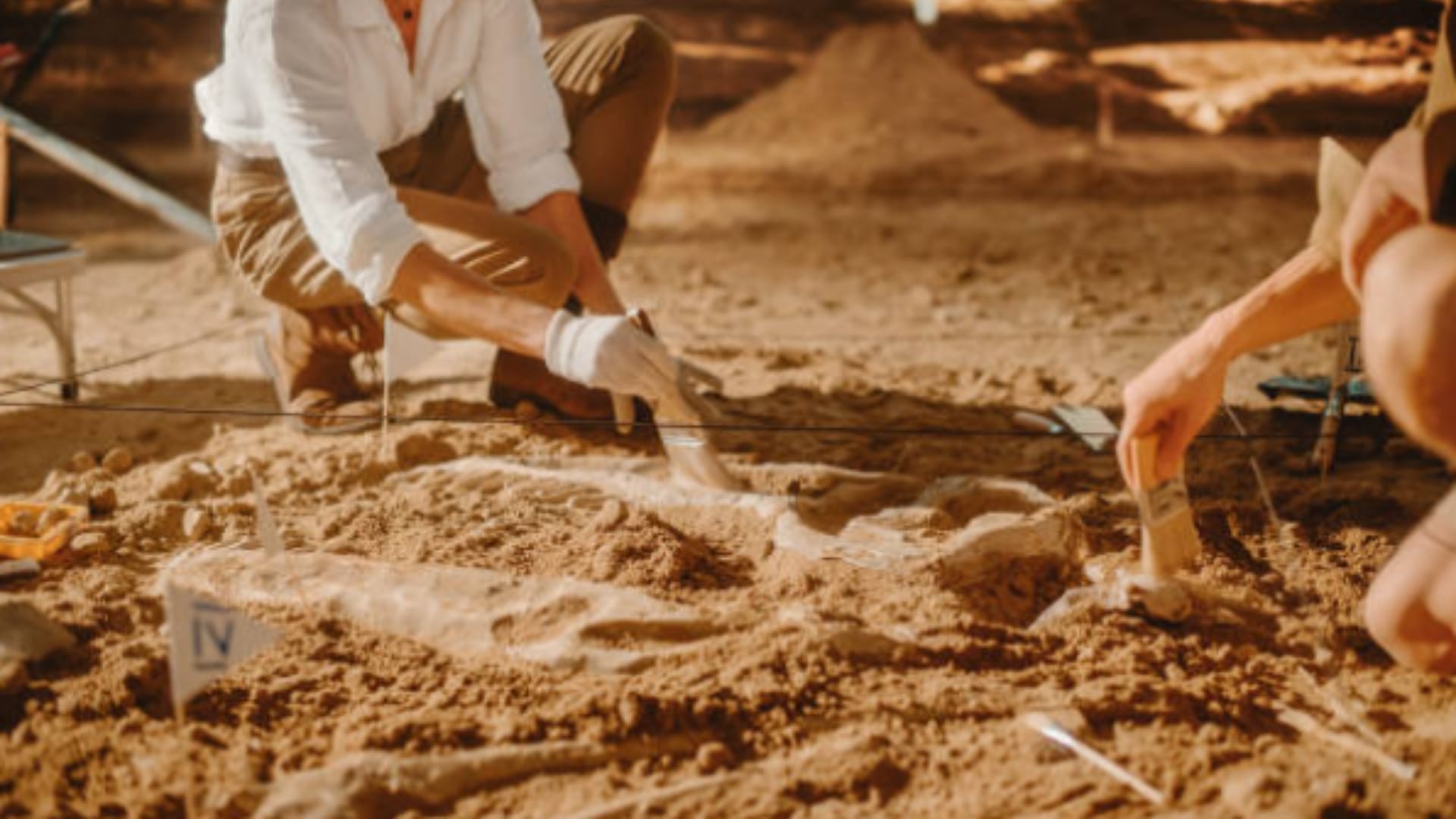Ajab Gajab 7000 year old monument found with human remains and animal bones in saudi arabia