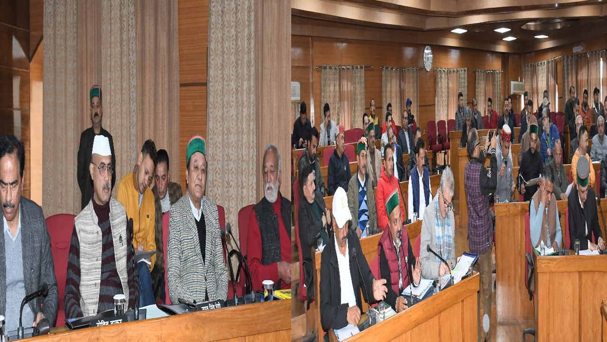 apple growers said  apples will be sold in universal carton, APMC Act should be strictly implemented