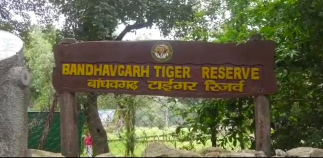 New guests will come in Bandhavgarh, tomorrow the forest minister will leave the reindeer in the cage