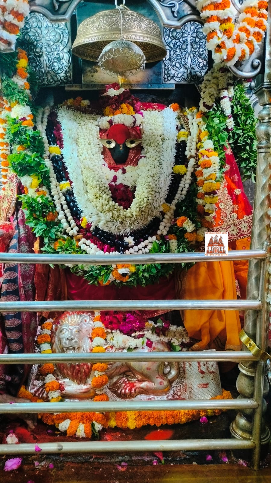 On the fourth day of Navratri, devotees were delighted to see Kushmanda Swaroop, eager to get a glimpse