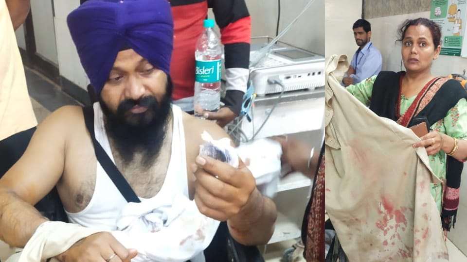 Stray Dogs Attacked pathi of Gurudwara in Ambala City