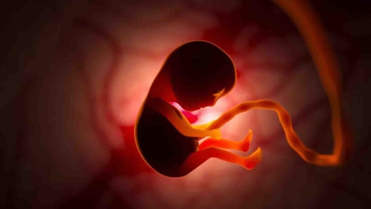 International Day of Unborn Child: Malnutrition of the mother, violation of the rights of unborn child
