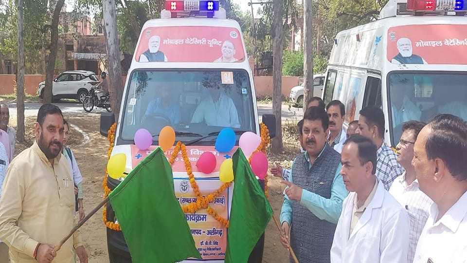 AC ambulance of animals reach home come on calling 1692