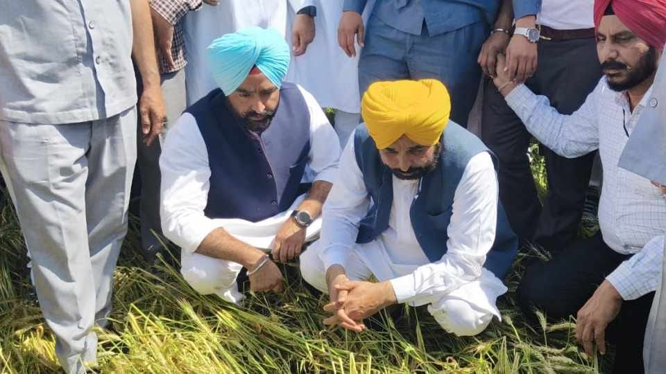Punjab government increased compensation for damaged crop by 25 percent