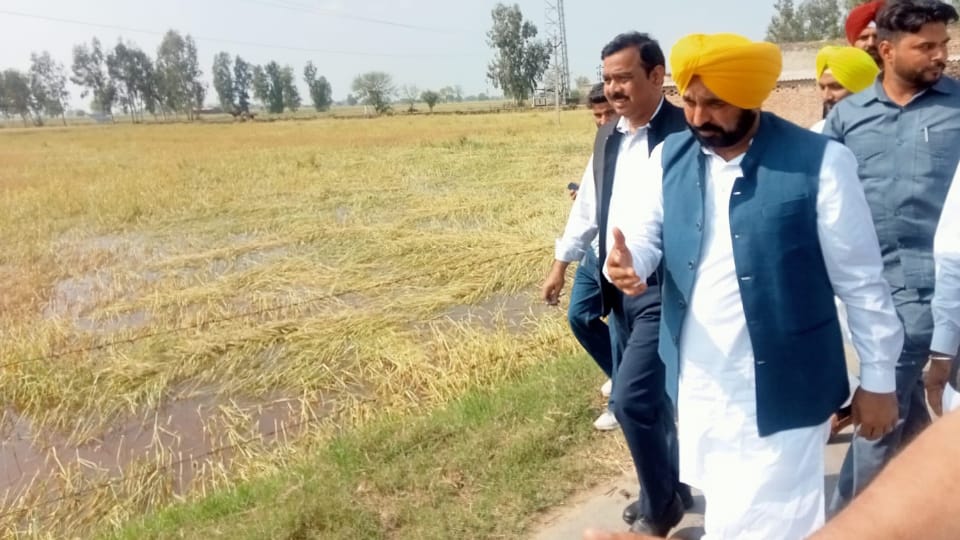 Punjab cm Bhagwant Mann visited villages affected by rain in Muktsar