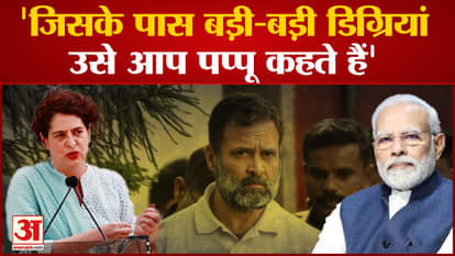 Priyanka in Indira style, brother's strength