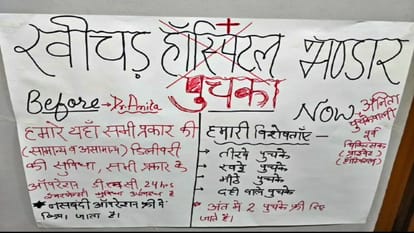 In protest against the Right to Health Bill, a female doctor set up a golgappa stall in Sikar