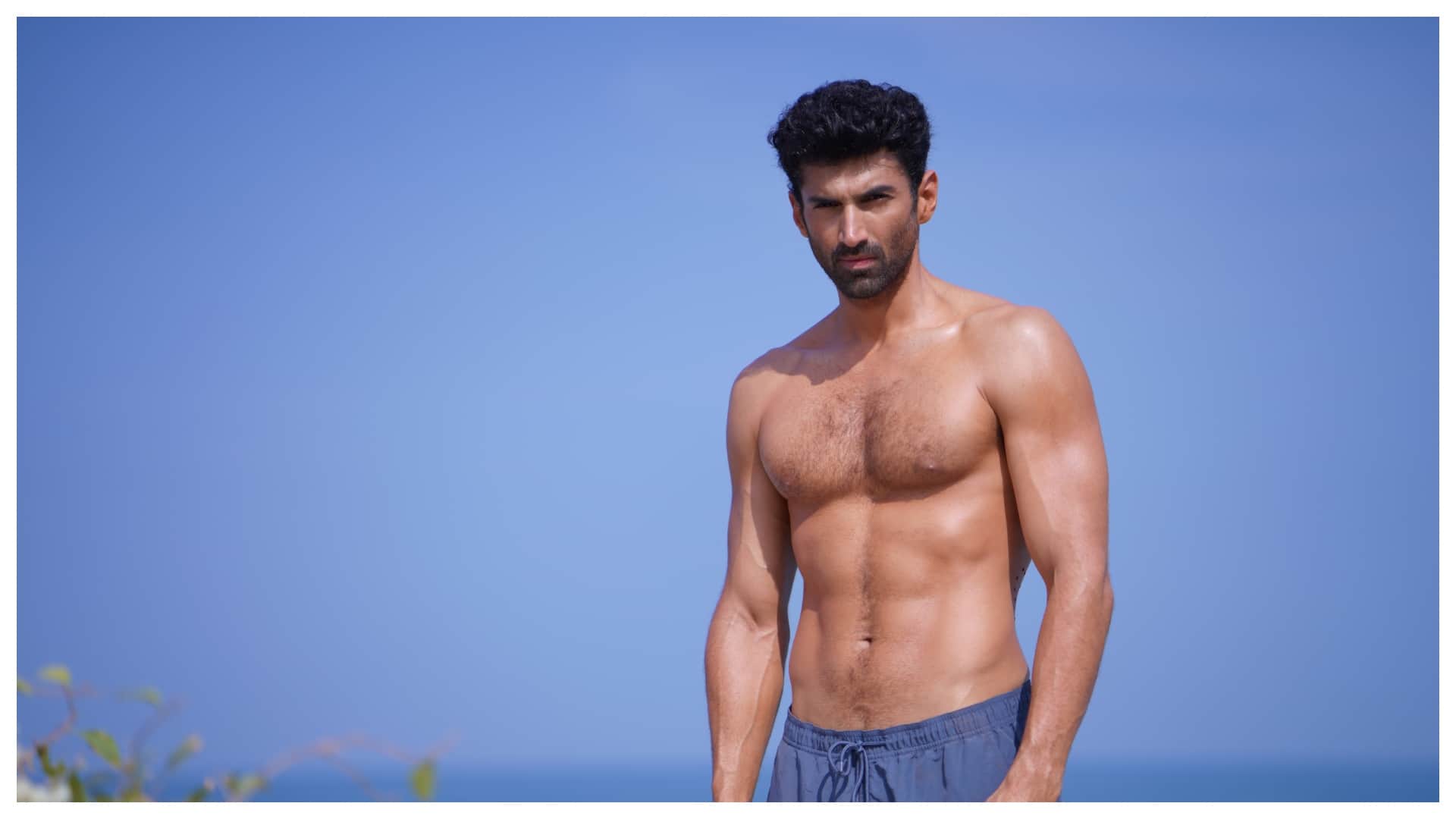 Aditya Roy Kapur talks about nepotism in bollywood says my brother were not involved in my career journey