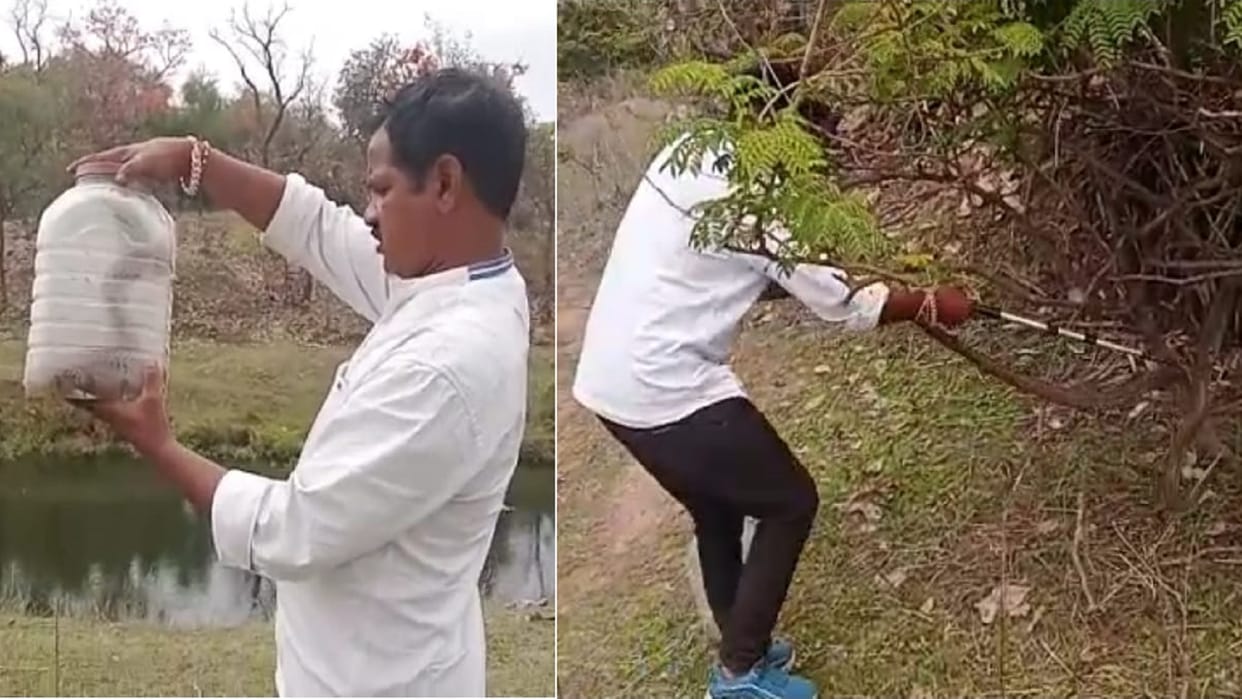 Sarp Mitra Dwarika Kol rescued two cobra snakes and released them in the forest