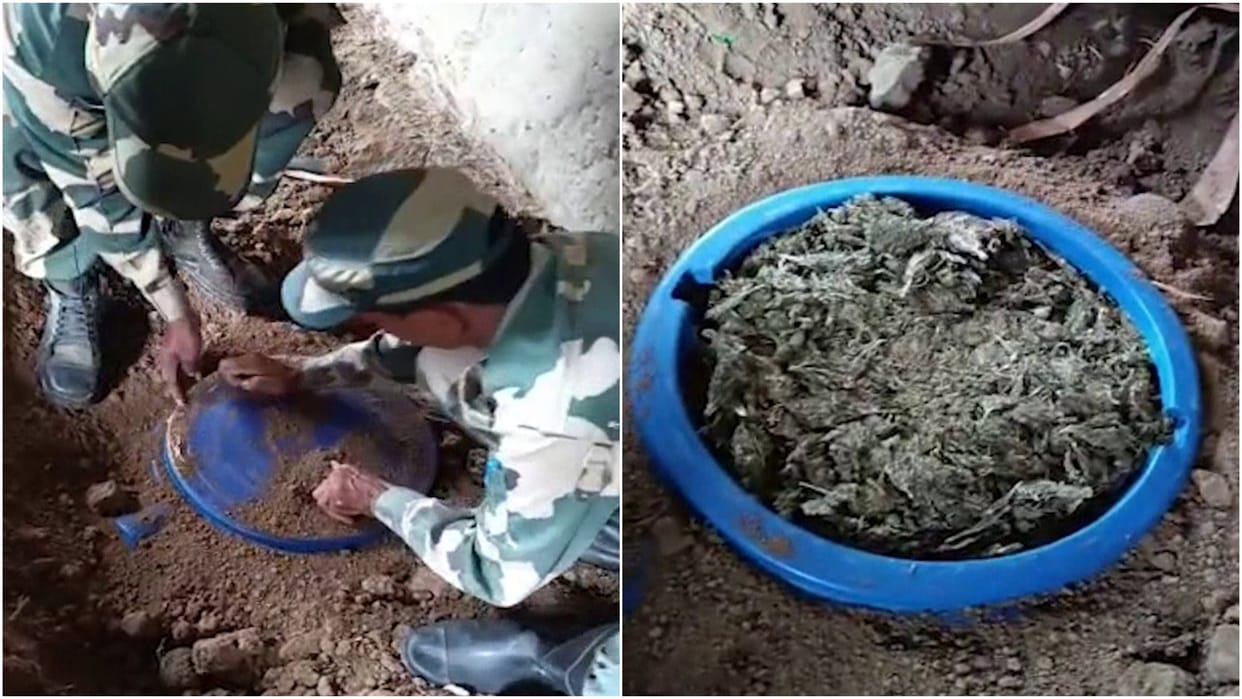 Tripura Agartala About 1385 Kg of narcotics Ganja were recovered worth Rs 2 crore in joint operation BSF DRI