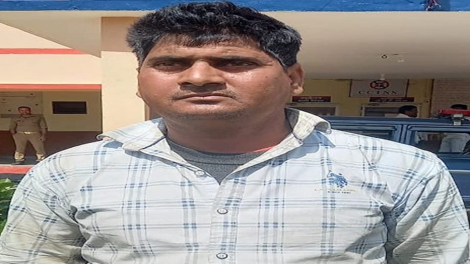 son strangled parents to death