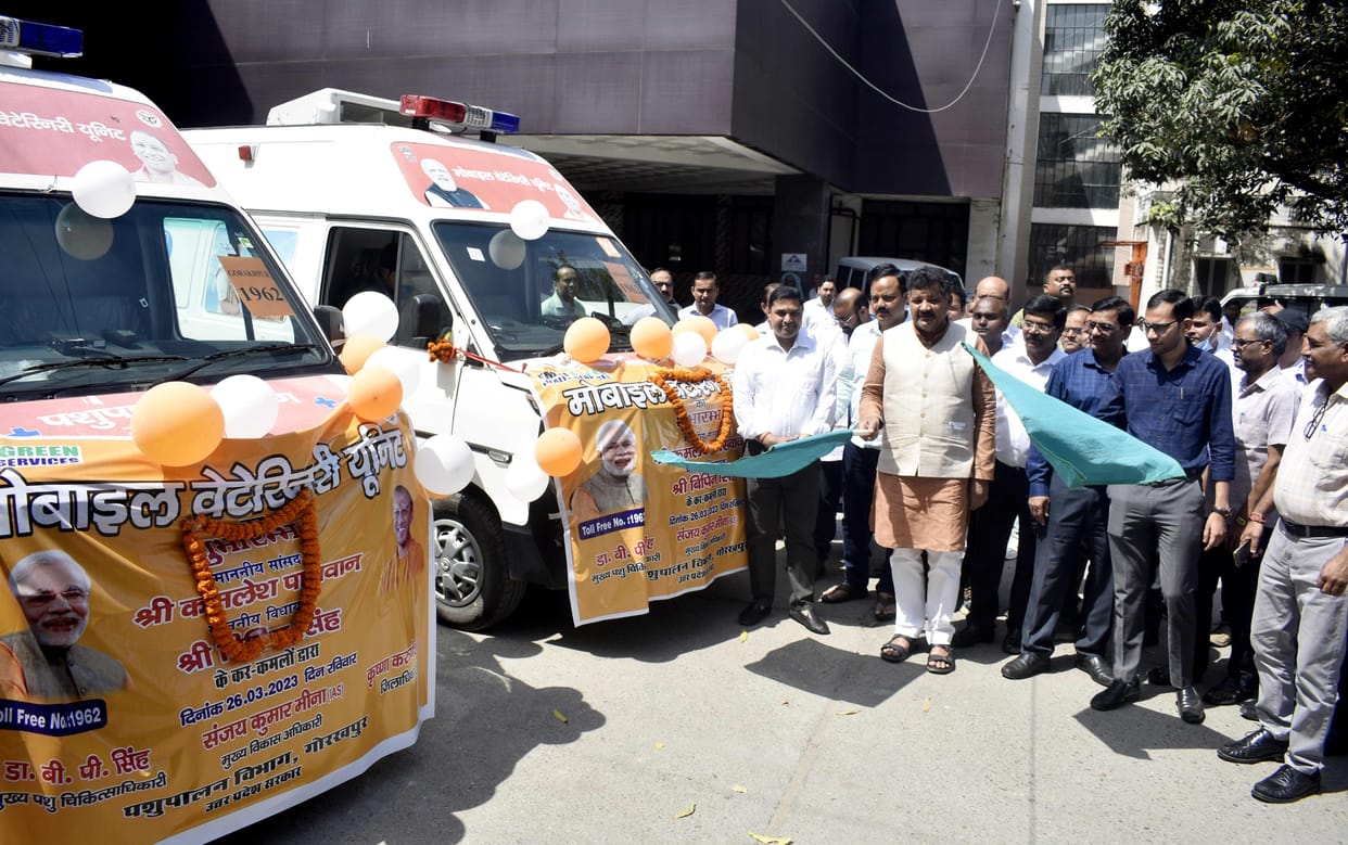 Animal ambulance will reach on one call, will be treated