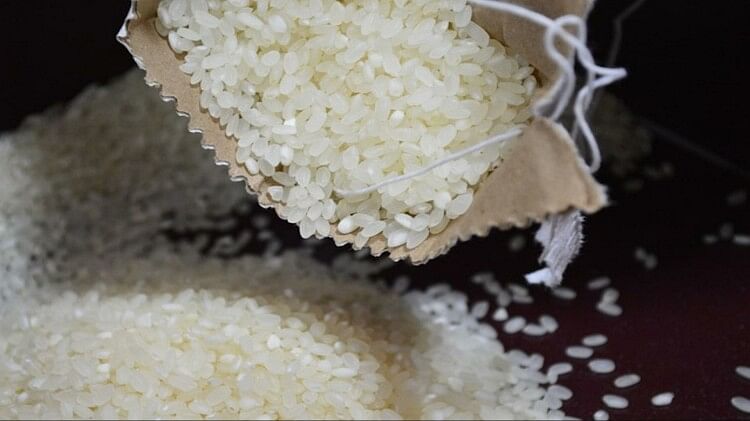 Rice Adulteration Test 1680001401 
