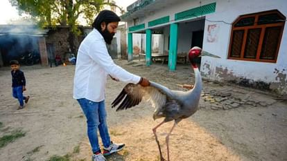 Keeping any wild animal including stork  a crime