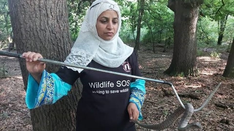 Jammu Kashmir Alia Mir got Women Wildlife Conservation Award