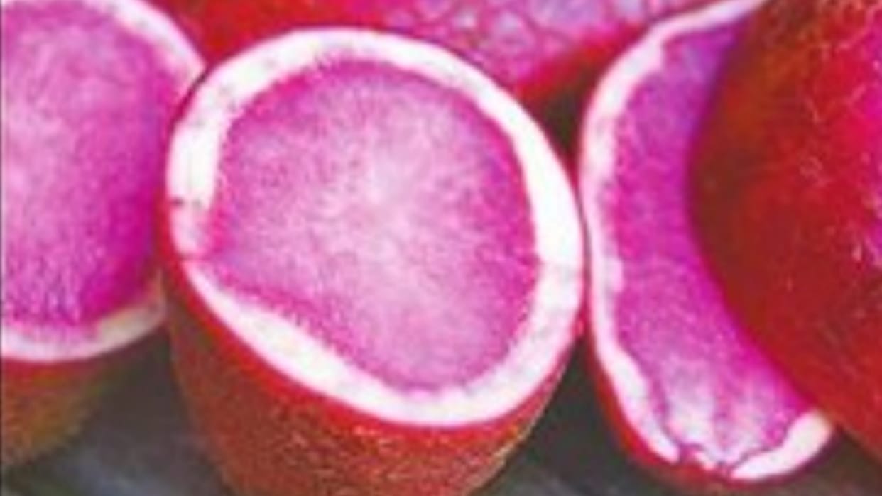 Research related to Kufri Neelkanth Aloo completed.
