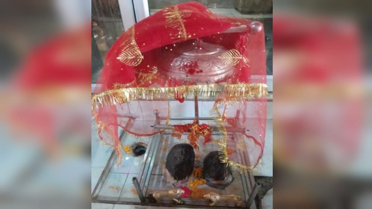 The British also used to worship Bhadrakali Mata