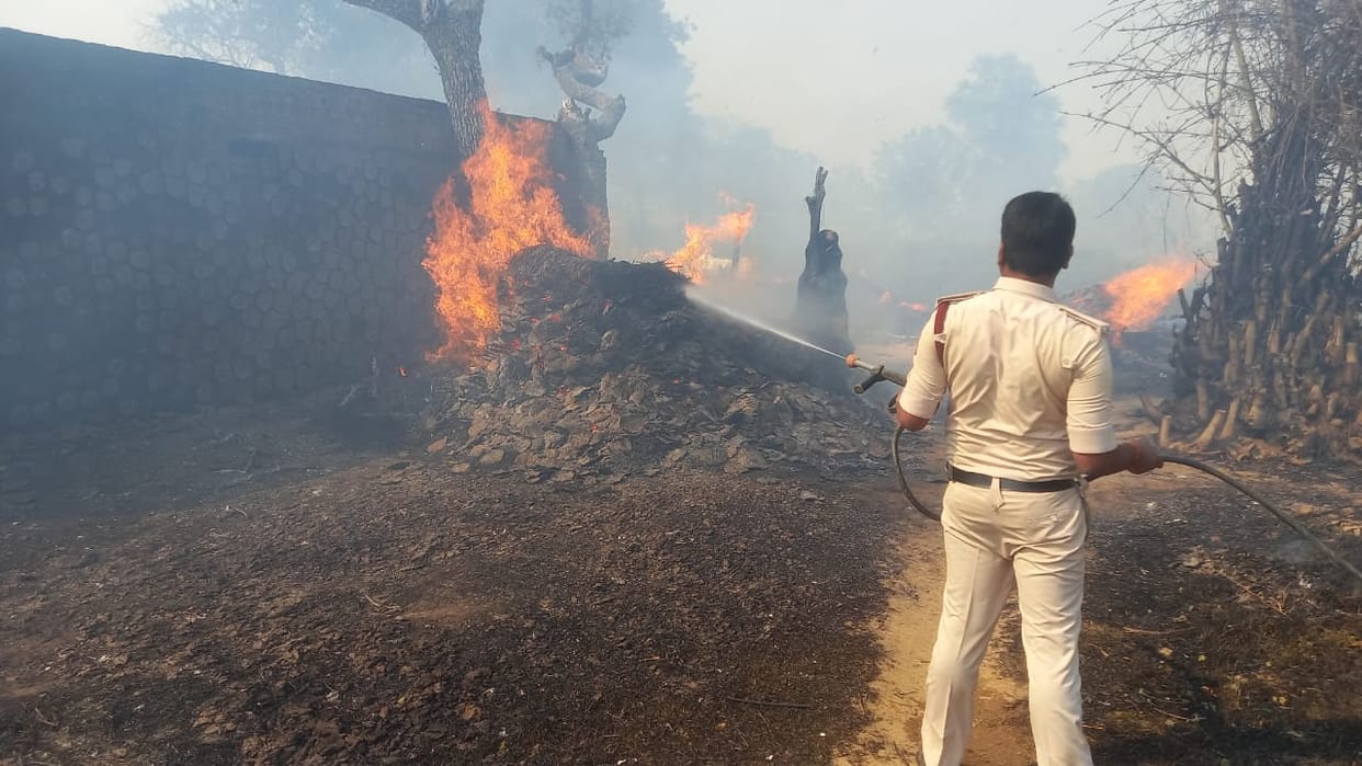 Bihar: Fierce fire broke out in a barn in Patna, half a dozen cattle burnt to death