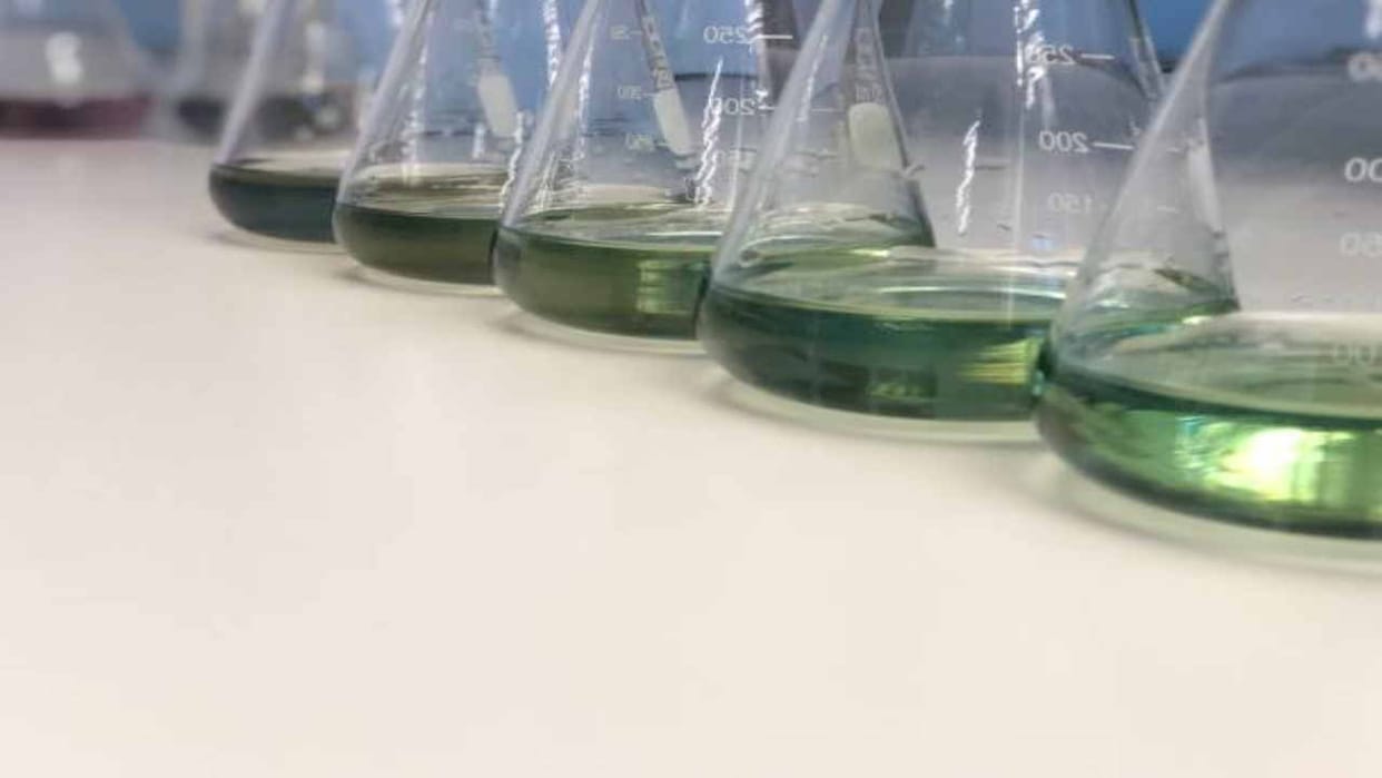 green ammonia project will be established in Thathal and Saluri of Una with 900 crores