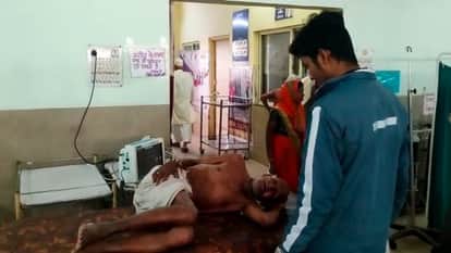 Guna News Many people including the elderly were injured in the attack of bees